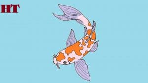 How to draw a koi fish step by step