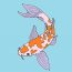 How to draw a koi fish step by step