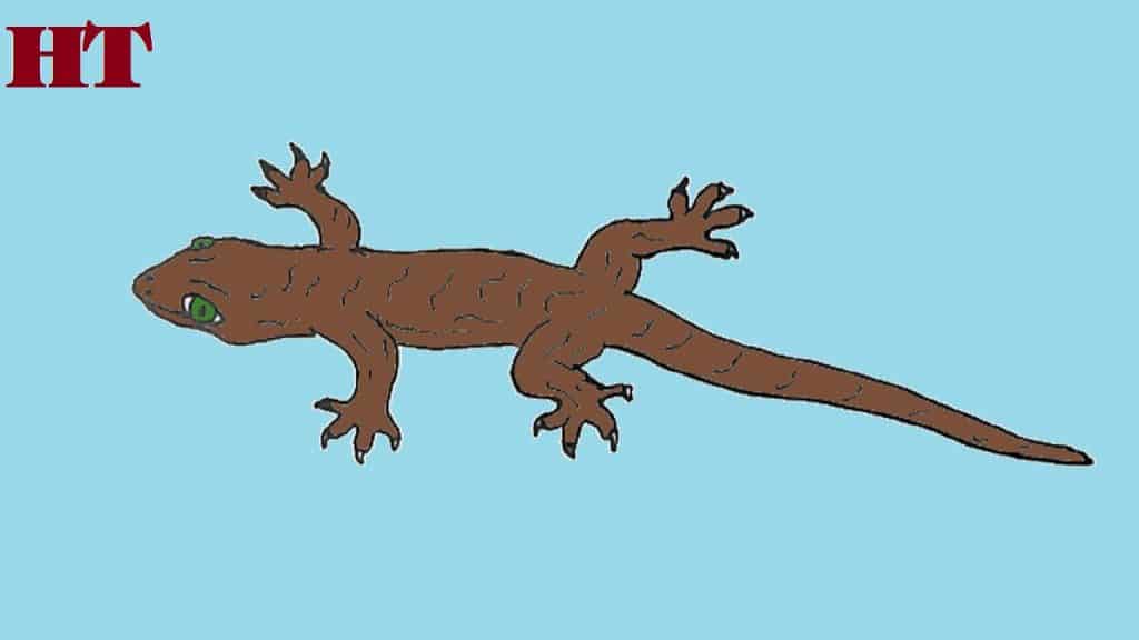 How to draw a lizard