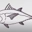 How to draw a tuna fish step by step
