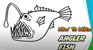How to draw an anglerfish step by step