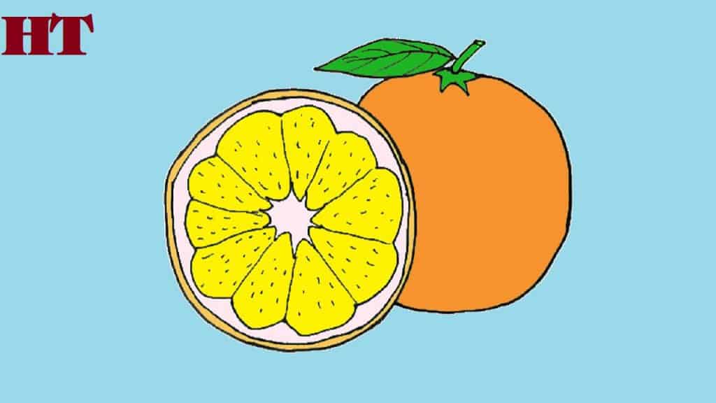 How to draw an orange slice step by step