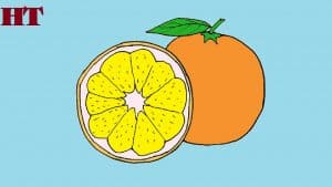 How to draw orange slice