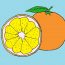 How to draw an orange slice step by step