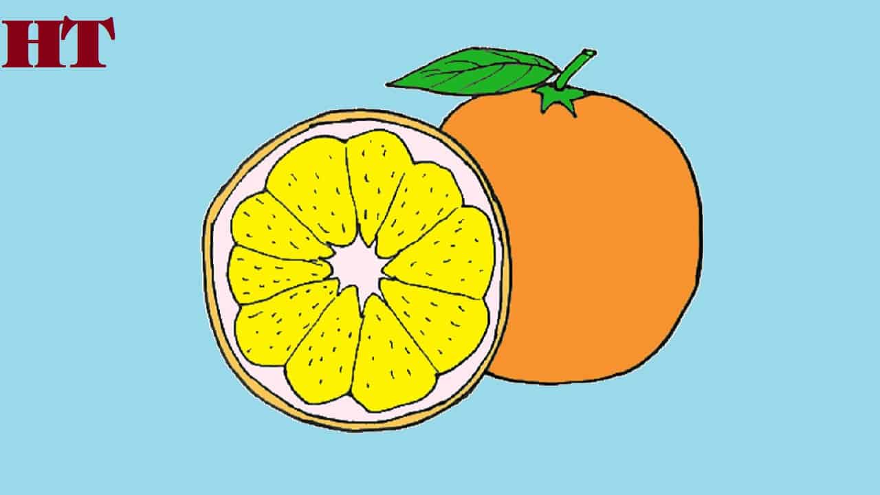 How to Draw an Orange