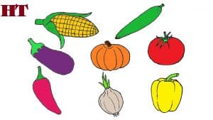 How to draw vegetables