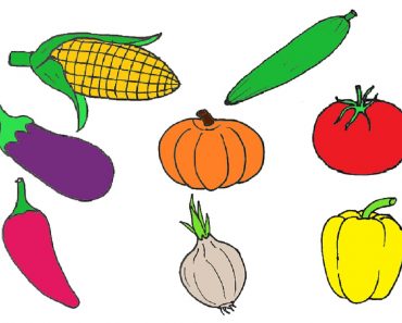 How to draw a vegetables step by step | Fruit drawings easy
