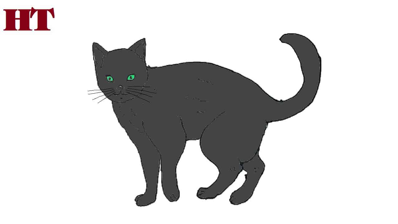 How to draw a black cat step by step