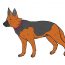 How to draw a german shepherd step by step