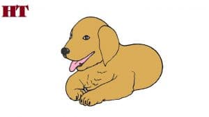 how to draw a golden retriever dog