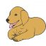 How to draw a golden retriever puppy step by step