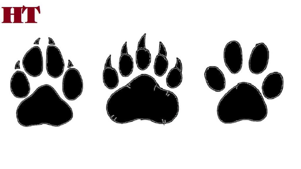 how to draw a paw print