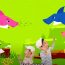 Baby shark doo doo dance video | Songs for Children