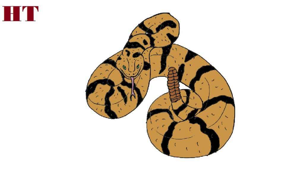 How to Draw a Rattlesnake