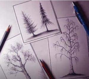 How to Draw a Tree step by step