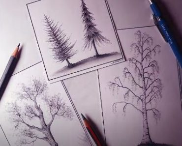How to Draw a Tree step by step