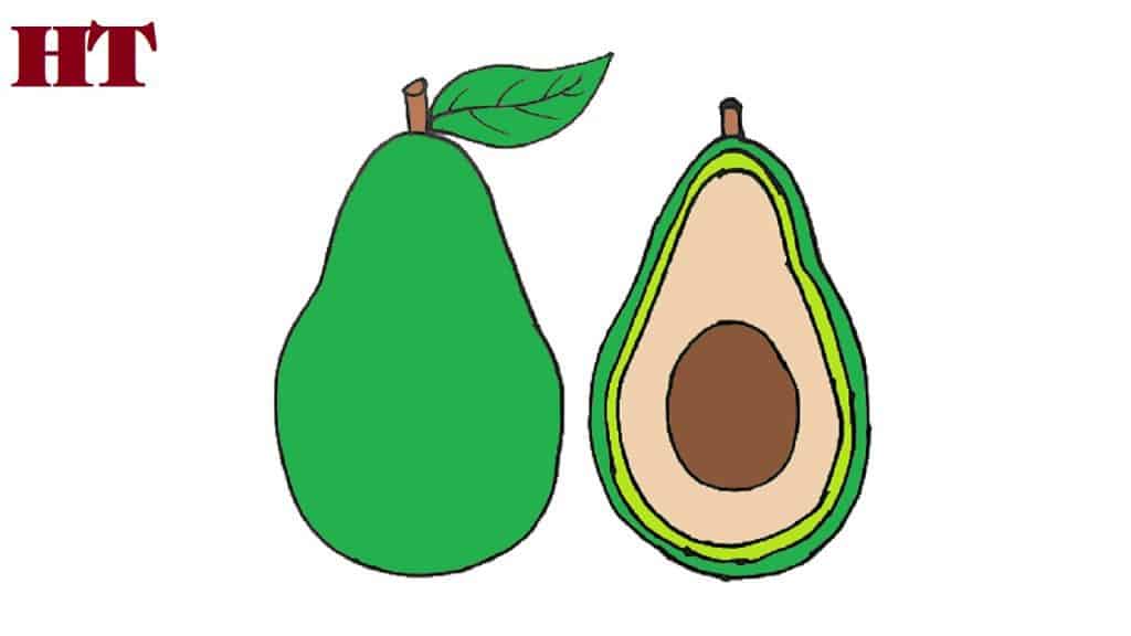 How to draw an avocado step by step