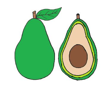 How to draw an avocado step by step