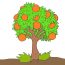 How to draw a orange tree step by step