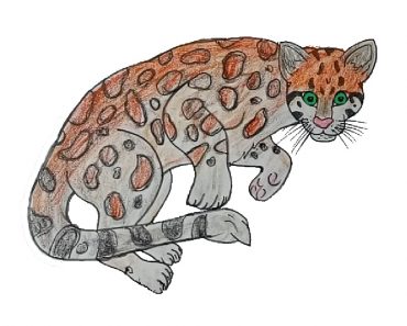 How to draw a ocelot step by step | Wild cat drawing easy