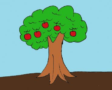 How to draw apple tree step by step