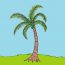How to draw a coconut tree step by step