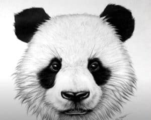 Minimalist drawing of panda with books creative account avatar on Craiyon-saigonsouth.com.vn