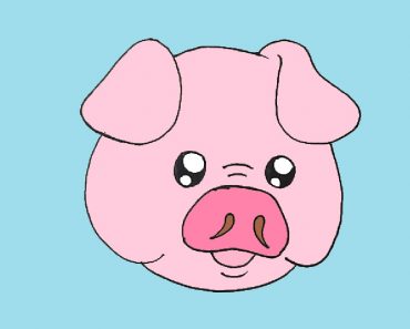 How to draw a cute pig face easy for beginners