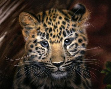 How to draw a leopard face step by step easy