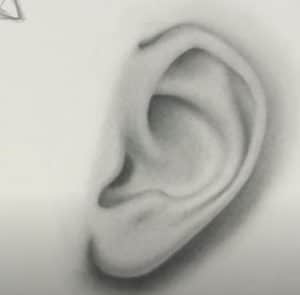 How to draw ears step by step
