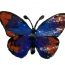 How to paint a butterfly for beginners step by step