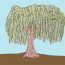 How to draw a willow tree for beginners