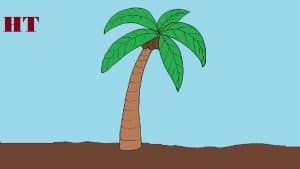 how to draw a palm tree