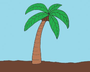 How to draw a palm tree step by step | Tree drawing easy