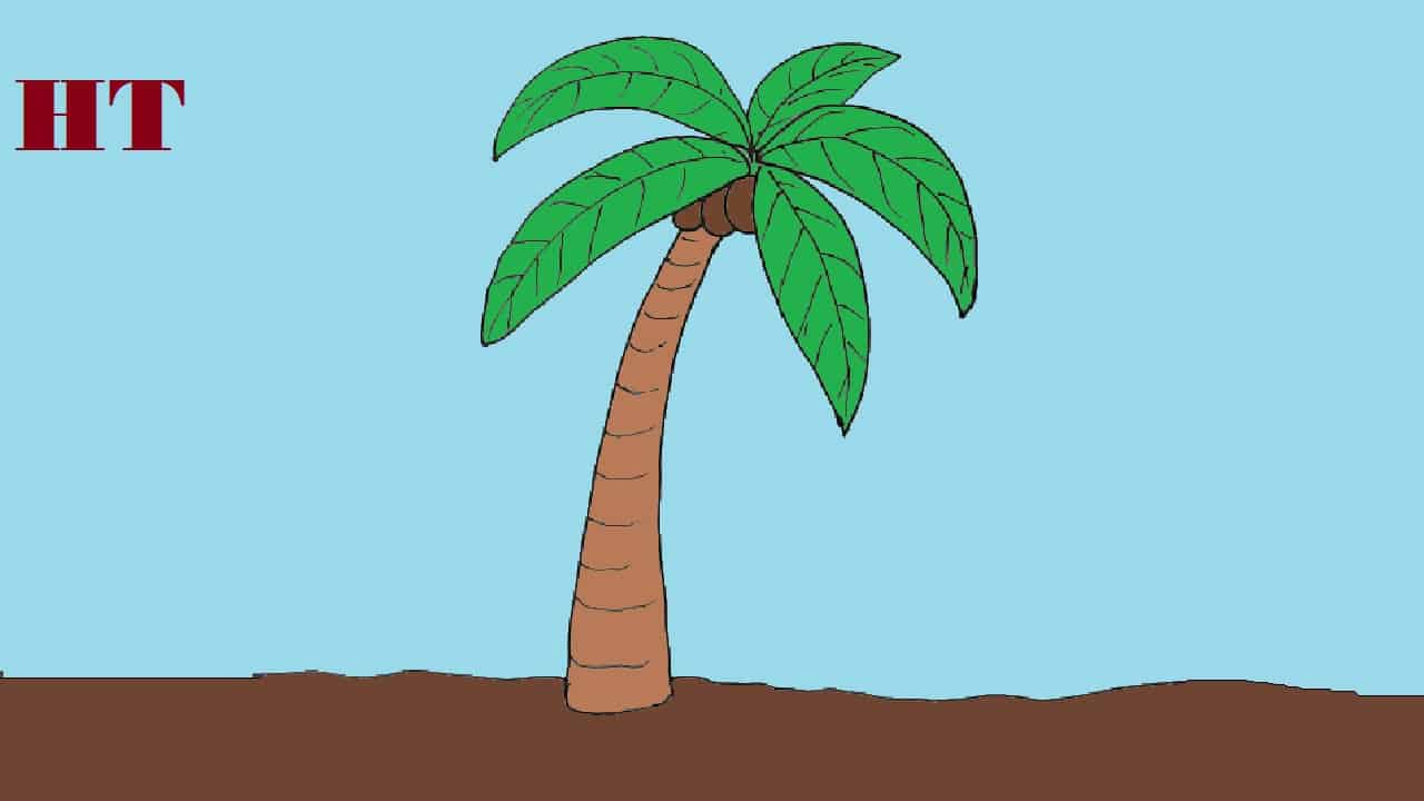 palm tree simple drawing