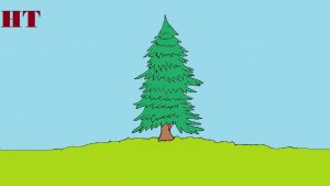 how to draw a pine tree