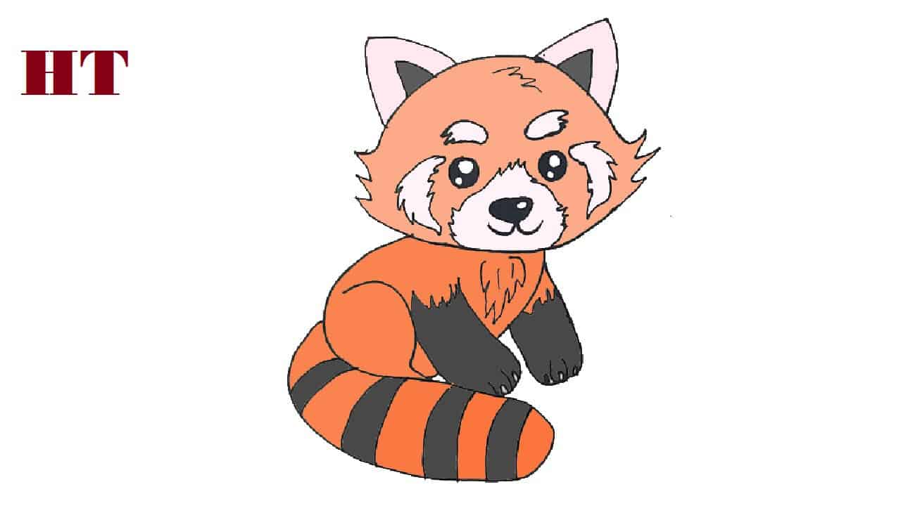 How to Draw a cute Red Panda step by step