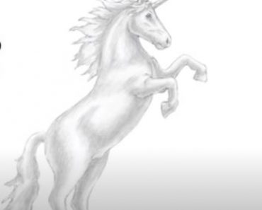 How to Draw a Unicorn (Horse rearing) step by step | Pencil Sketch Drawing