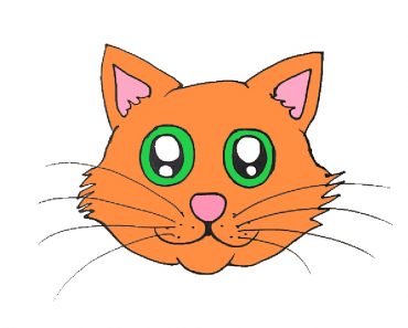 How to draw a cartoon cat face easy