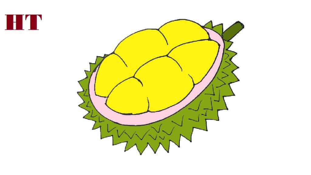 How to draw a durian