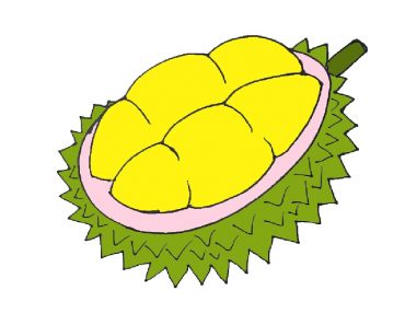 How to draw durian fruit step by step