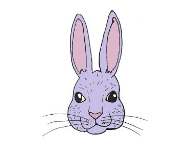 How to draw a rabbit face easy for beginners