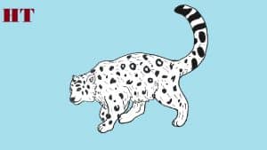 how-to-draw-a-snow-leopard