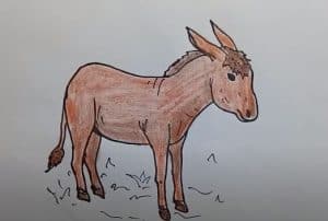 Donkey drawing easy for beginners