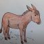 Donkey drawing easy for beginners