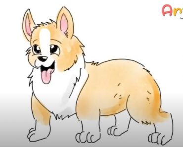 How to Draw a Corgi step by step || Dog drawing for beginners