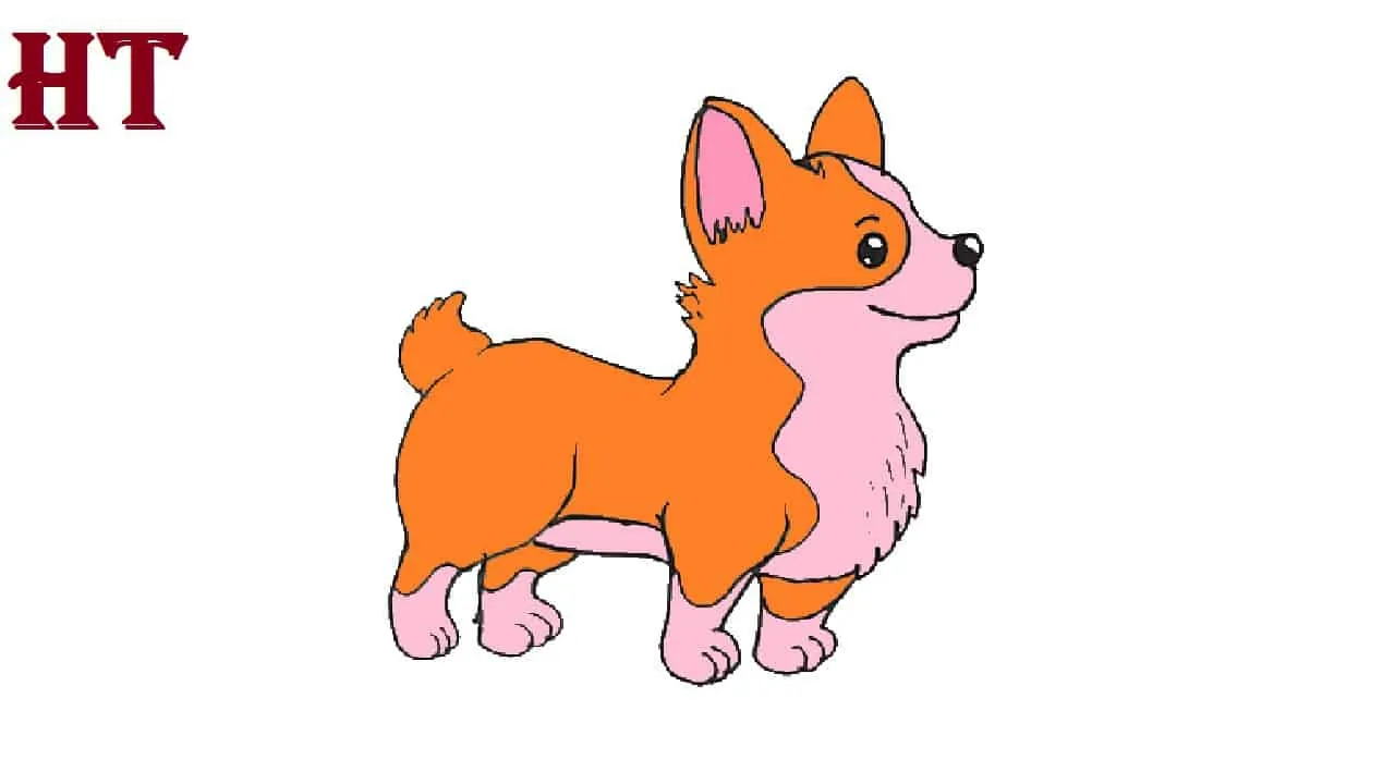How to Draw a Corgi