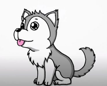 How to Draw a Husky step by step || Dog drawing easy for beginners