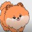 How to Draw a Pomeranian step by step || Puppy drawing easy