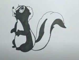 How to Draw a Skunk step by step